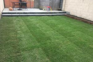 View 32 from project Artificial Grass & Lawns